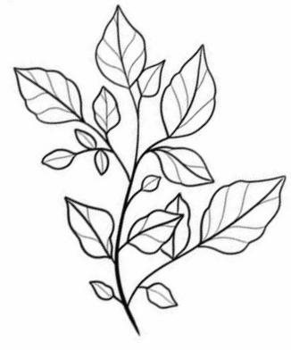 Petite Custom Flash #21 | Fine Art Series (2x2")